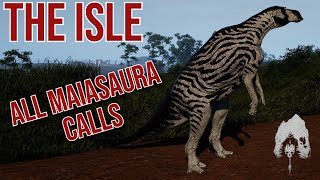 THE ISLE  ALL EVRIMA MAIASAURA CALLS  theisle [upl. by Wenonah]