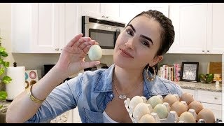 HOW TO PASTEURIZE EGGS AT HOME 🥚 Orchid Vega [upl. by Pollock]