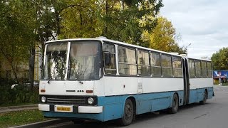 IKARUS 28033 Обзор автобуса [upl. by Enelram]