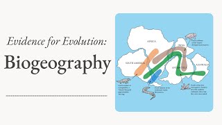 Evidence for Evolution Biogeography [upl. by Arodoet969]