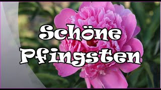 Schöne Pfingsten 🌸 [upl. by Wanonah966]