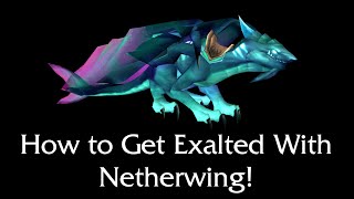 How to Get Exalted With Netherwing  World of Warcraft Guide [upl. by Ymrej328]