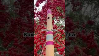 Sad Vatiali Music  Best Ringtone  Bansuri shorts [upl. by Elora883]