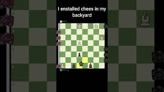 Lawn Mower Chess 2  Can Mittens defeat Stockfish [upl. by Peppy]