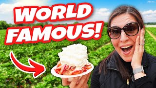 WORLD FAMOUS Strawberry Shortcake  Parkesdale Farms  Plant City Florida [upl. by Nod]