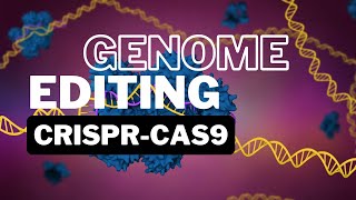 ECOM 6349  Student Participations  CRISPRCas9 and Genome Editing [upl. by Teryn]