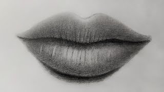 How to draw a realistic lips step by step for beginners [upl. by Ecienahs736]