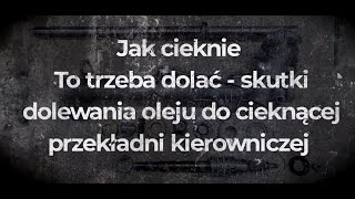 PRZEKŁADNIA KIEROWNICZA CIEKNIE  CZY WARTO DOLEWAĆ OLEJ [upl. by Hirsch650]