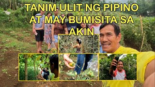 TANIM ULIT NG PIPINO AT MAY BUMISITA SA AKIN [upl. by Adolphus163]