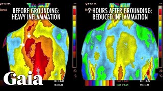 This is How EARTHING Reduces INFLAMMATION in the Body [upl. by Annahs]