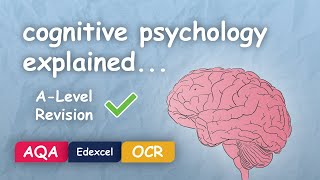 What is Cognitive Psychology Alevel Revision Themes in Psychology Explained [upl. by Avilys]