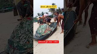 Kerala Marari beach ⛱️ Fisherman 🏖️beach beachvibes Allobuzha [upl. by Beeck850]