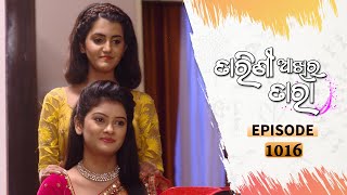 Tarini Akhira Tara  Full Ep 1016  5th May 2021  Odia Serial – TarangTV [upl. by Brooke78]