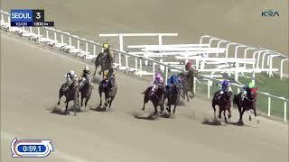 Seoul 20241020 R3 Class 5 1300M Handicap [upl. by Soloman]