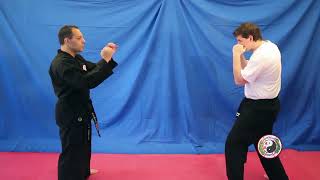 Kempo Karate  Combination 6 [upl. by Reemas]