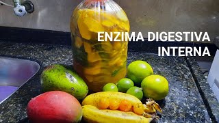 ENZIMA DIGESTIVA INTERNA [upl. by Teevens879]