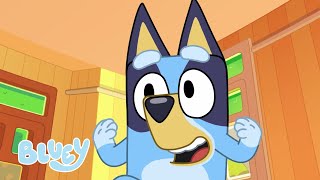 Burger Dog 🍔🌭  BLUEY  I CORTI 📺  Bluey Italiano Canale Ufficiale 💙 🇮🇹 [upl. by Funch]