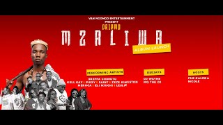 Driemo Mzaliwa Album Launch Highlights [upl. by Nerreg]