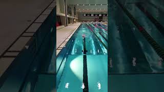 Easy and smooth freestyle swimming swimming [upl. by Rothwell]