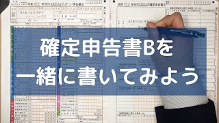 【確定申告書Bの書き方】実際に１から書いてみます （給与所得の計算間違えましためっちゃ恥ずかしいです。詳しくは概要欄に！） [upl. by Viviyan]