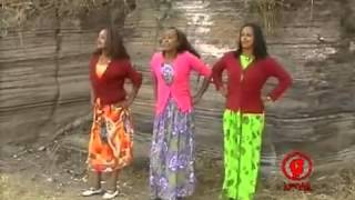 Taddalaa Gammachuu Raada Raadaa Oromo Music [upl. by Nevlin521]