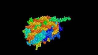 nucleosome [upl. by Hsirahc]