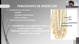 Histopatología en Periodoncia desde la gingivitis a la periimplantitis [upl. by Falo]