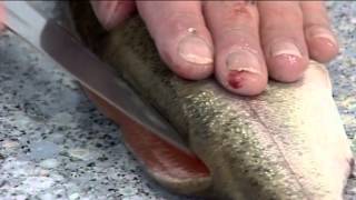 How to CanoeFillet a Trout  111 [upl. by Oneill749]