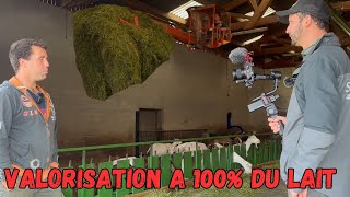 VISITE D UNE MAGNIFIQUE CHEVRERIE  VALORISATION A 100 DU LAIT SUR LA FERME 🤠 [upl. by Sabian927]