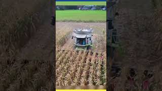 biggest harvester agricultural machineryshortsvideo [upl. by Nosde51]