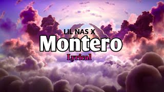 Lil Nas X  Montero lyrical  7th Sea Lofi [upl. by Anisirhc]