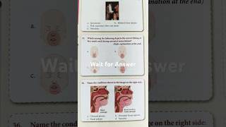 Target high Image based questions RRBNorcetNursingpediatric Trendingyoutube shortsviral [upl. by Adiene]