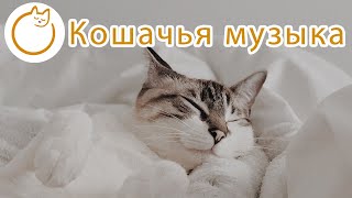 Музыка для кошек  Мягкие колыбельные от кошачьей тревоги 🐱💤 [upl. by Asertal]