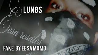 fake by eesa momo audio official [upl. by Oruasi247]