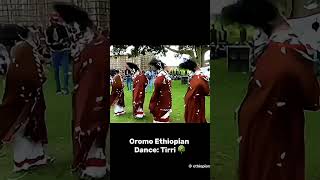 oromo traditional dance ethiopian ethiopianculture [upl. by Onek]