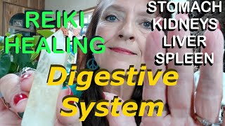 Reiki for Digestive System  Reiki Stomach Intestine Cleanse  Improve Digestive Health [upl. by Cull881]