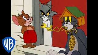 Tom i Jerry po polsku 🇵🇱  Królowie psot  WB Kids [upl. by Yeldahc]