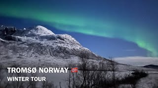 TROMSØ NORWAY 🇳🇴 WINTER TOUR CHASING NORTHERN LIGHTSSILENT WHALE WATCHING amp MORE [upl. by Tristram994]