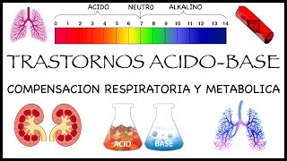 Trastornos Acido Base Compensación Metabólica y Respiratoria [upl. by Ecinuahs]