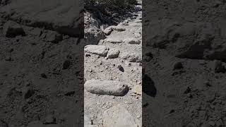 A hike at Massai Point in Chiricahua National Monument [upl. by Jillane]