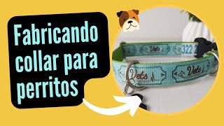 Tutorial COLLAR PARA TU MASCOTA  Aprende PASO A PASO a fabricar ACCESORIOS para tu mascota🐶 [upl. by Anse]