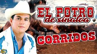 EL POTRO DE SINALOA  PUROS CORRIDOS FAMOSOS CON BANDA [upl. by Sotnas499]