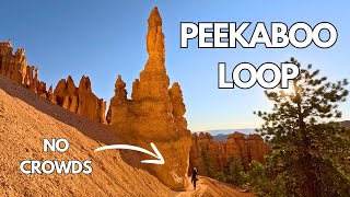 The Most Scenic Hike in Bryce Canyon  Peekaboo Loop Trail [upl. by Truda224]