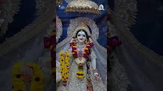 Todays Special darshan from Vrindavan Chandrodaya Mandir on the occasion of Kartik Purnima [upl. by Hnib888]