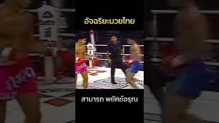 อัจฉริยะมวยไทย อาวุธสวยงาม muaythai สามารถพยัคฆ์อรุณ มวยไทย [upl. by Herr]