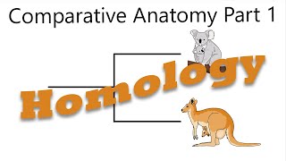 Heath Comparative Anatomy Part 1 [upl. by Sklar]