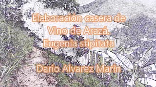 Elaboración de vino de Arazá [upl. by Acinonrev]