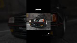 Peugeot 205 Rally Dimma 118 Ottomobile [upl. by Ueihttam]