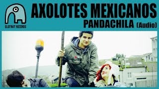 AXOLOTES MEXICANOS  Pandachila Audio [upl. by Lielos288]