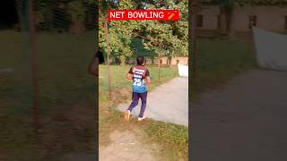 Net BowlingPace BowlingFast BowlingBowling TipsCricket Practice badalnishad shorts bowling [upl. by Learsi]